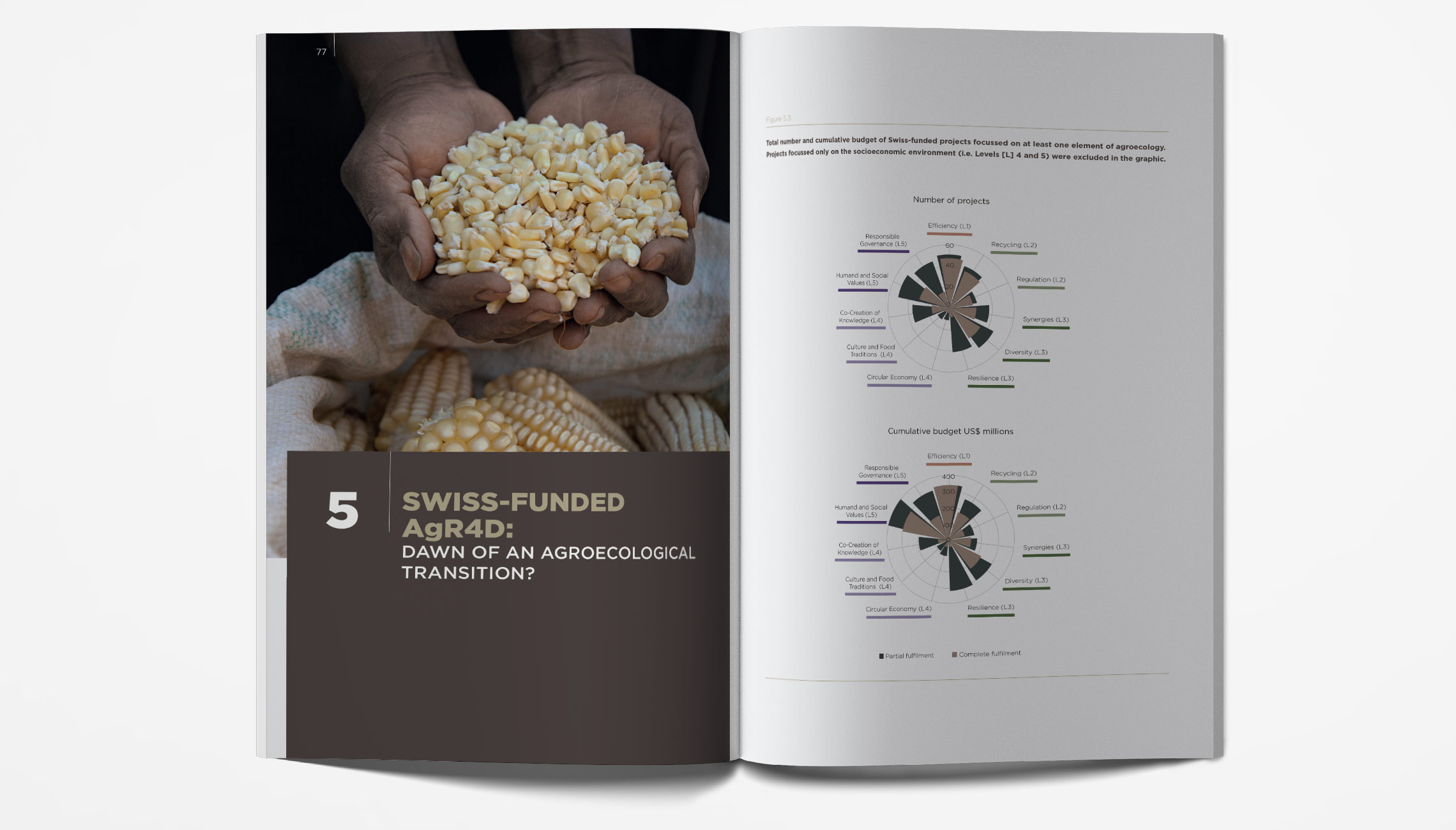 publication: IPES FOOD and BIOVISION Money Flows Report  - image 2