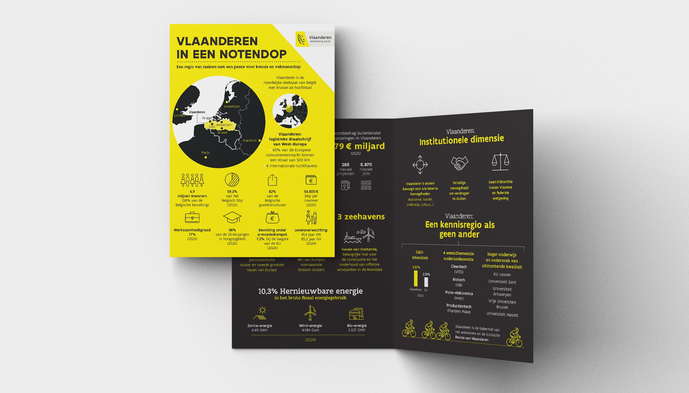 data visualisation: Concept and design of a concise handout with infographics - image 3