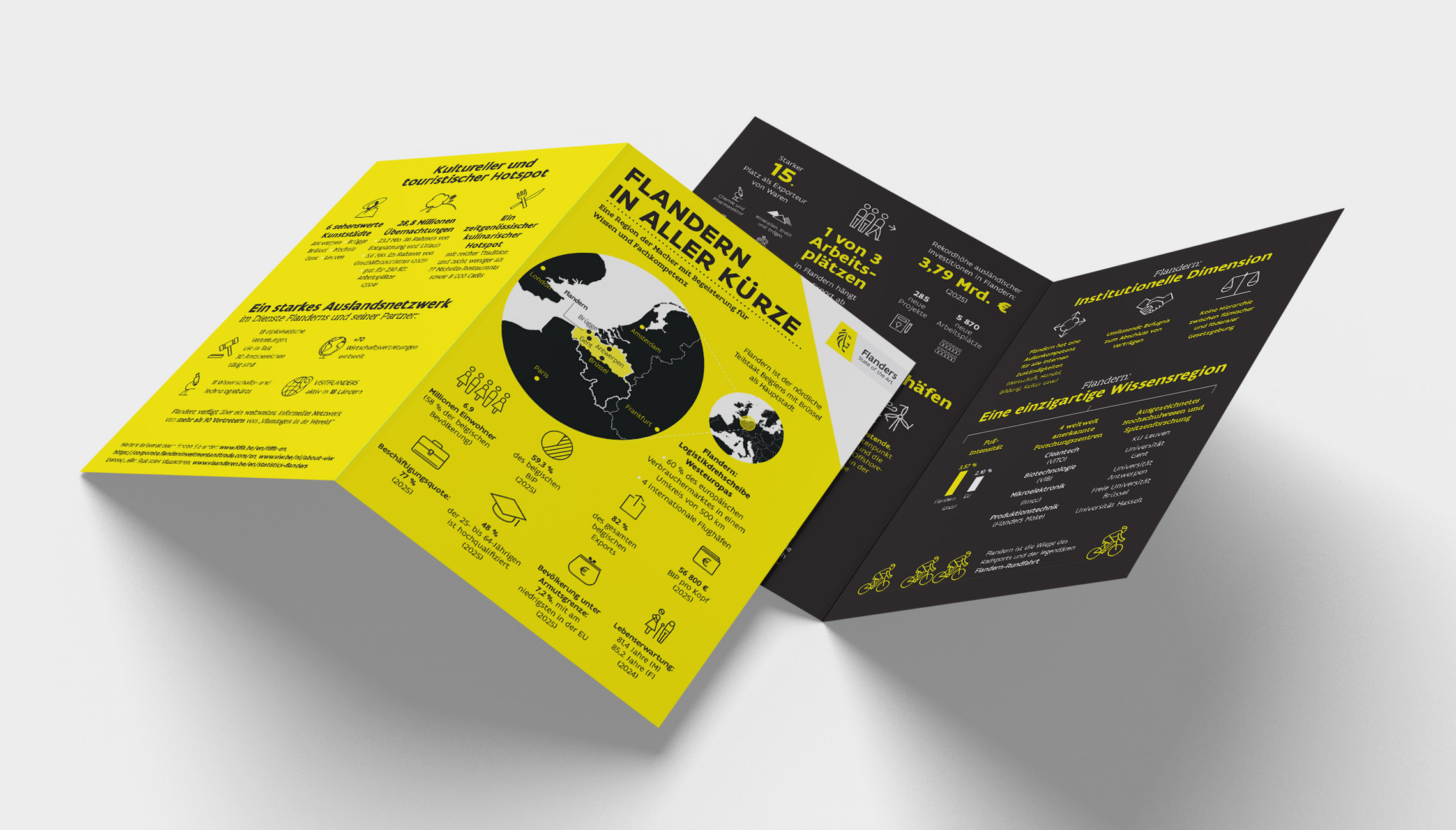 data visualisation: Concept and design of a concise handout with infographics - image 2