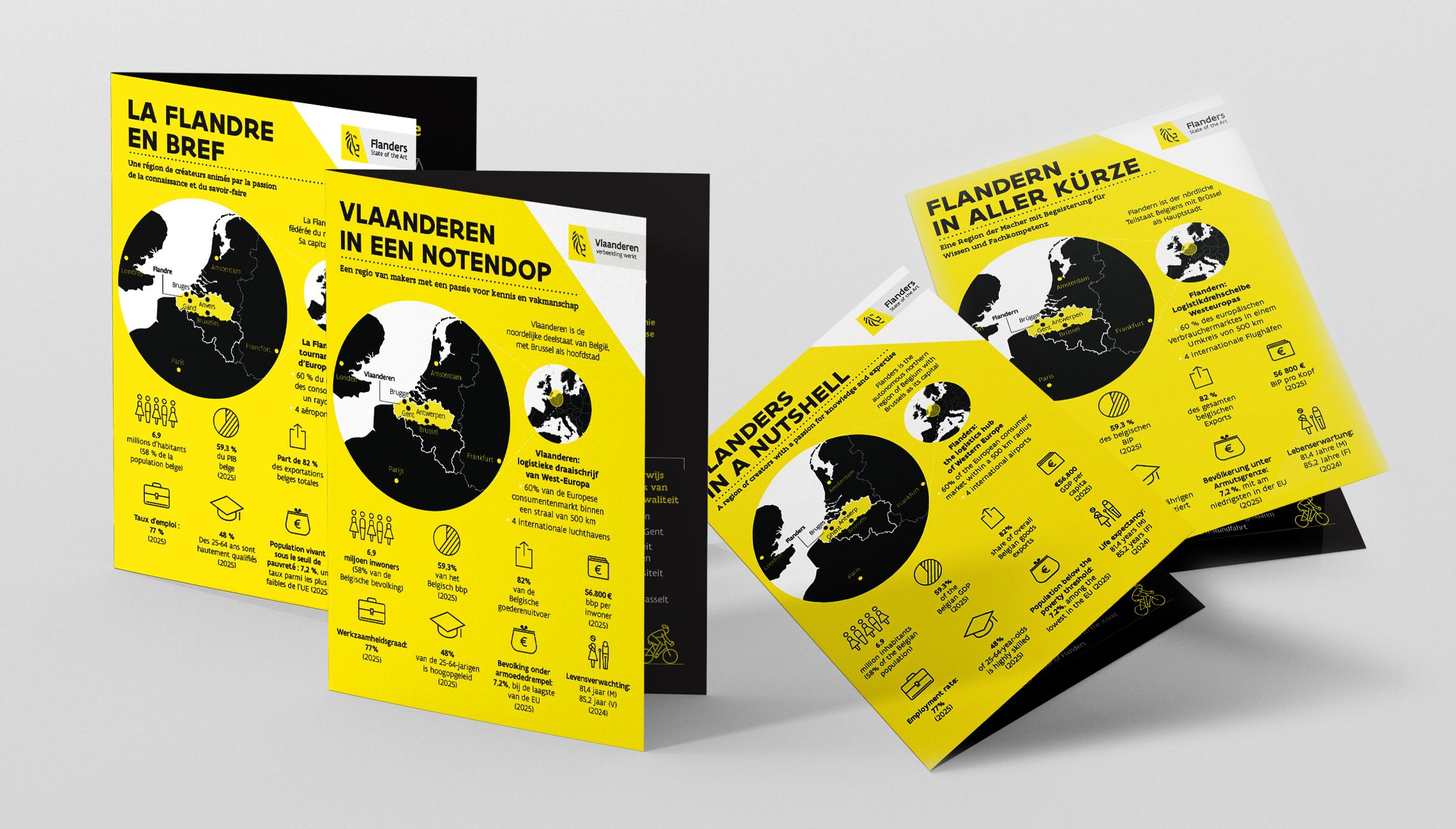 data visualisation: Concept and design of a concise handout with infographics - image 1