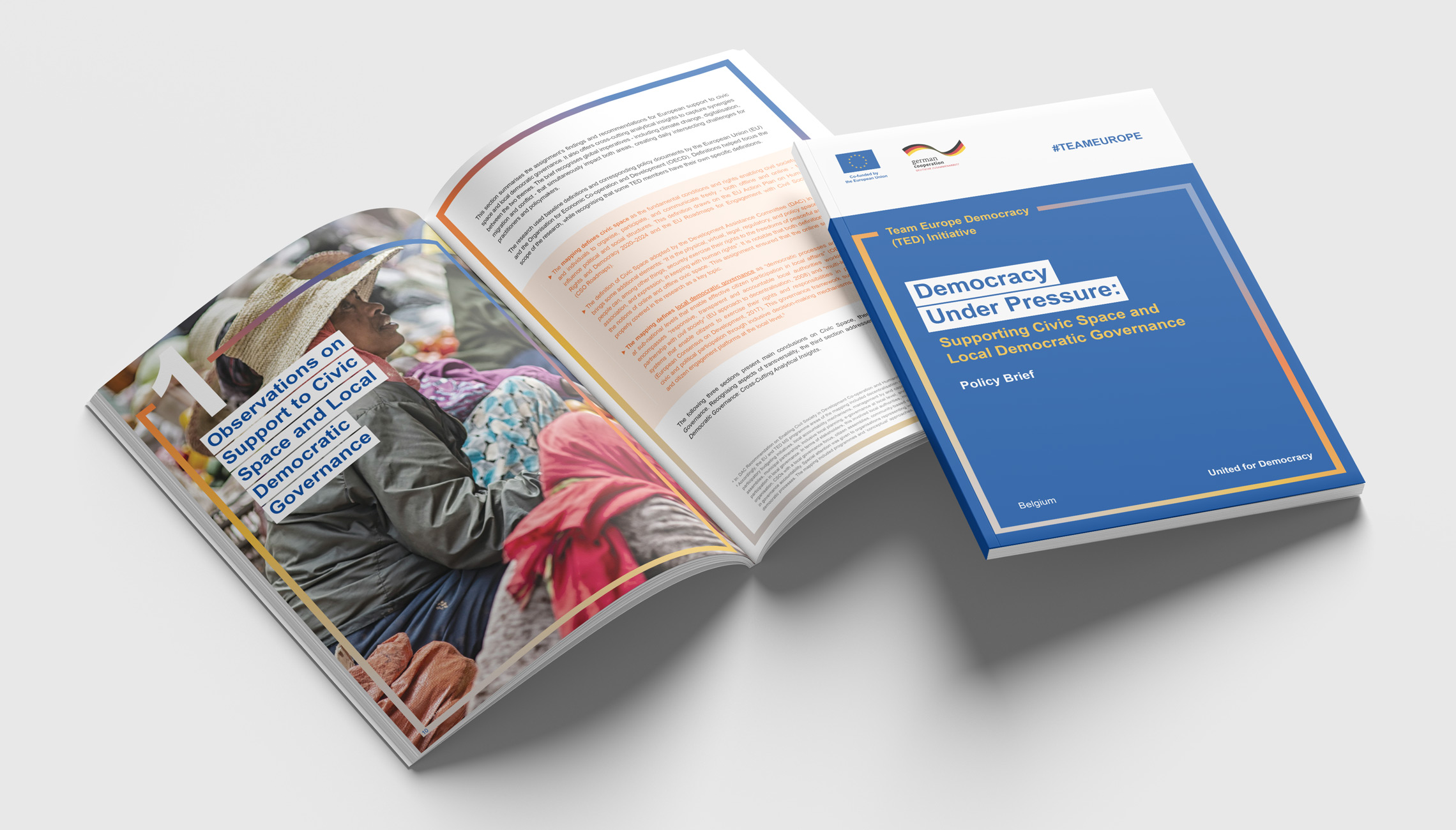 publication: Democracy under pressure - image 3